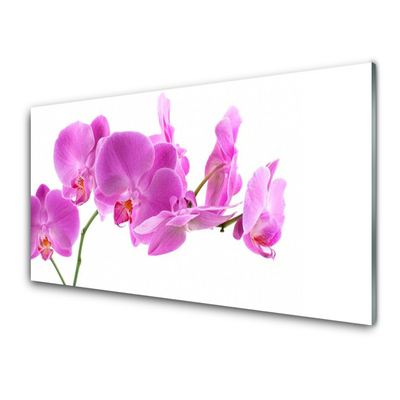Quadro de vidro Flores Planta Natureza