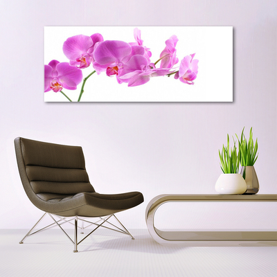 Quadro de vidro Flores Planta Natureza