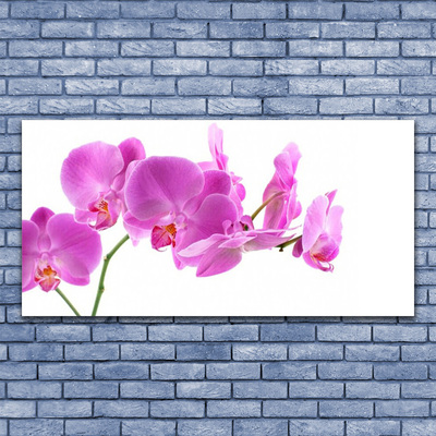 Quadro de vidro Flores Planta Natureza