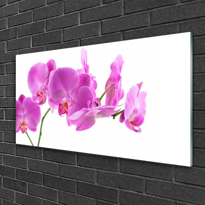 Quadro de vidro Flores Planta Natureza