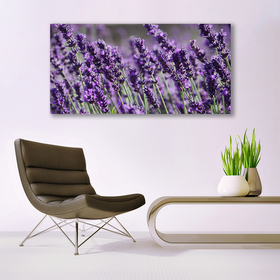 Quadro de vidro Flores Planta Natureza