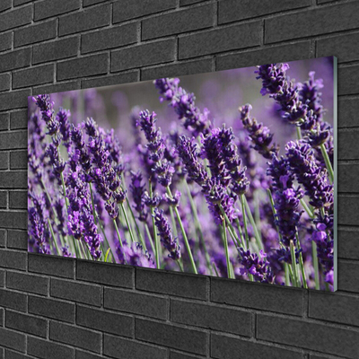 Quadro de vidro Flores Planta Natureza