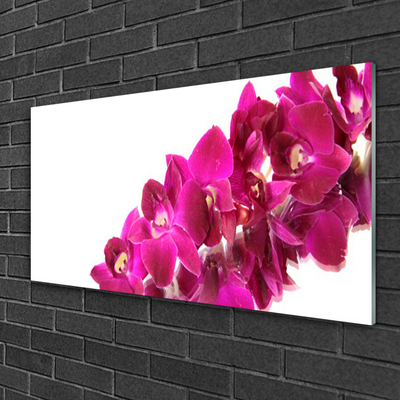 Pintura em vidro Flores Planta Natureza