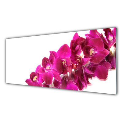 Pintura em vidro Flores Planta Natureza