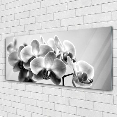 Pintura em vidro Flores Planta Natureza