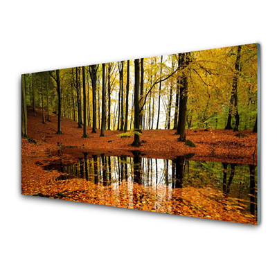 Quadro de vidro Floresta Natureza Árvores