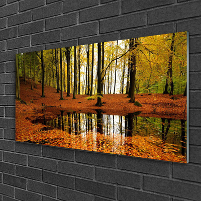 Quadro de vidro Floresta Natureza Árvores