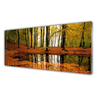 Quadro de vidro Floresta Natureza Árvores