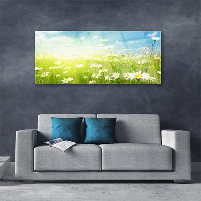 Pintura em vidro Natureza do Prado Daisy