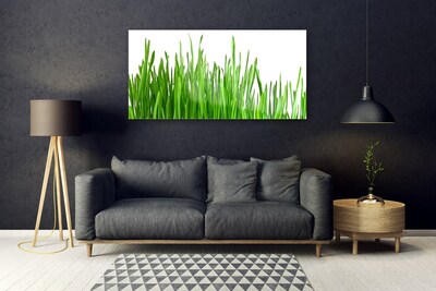 Quadro de vidro Natureza da planta grama