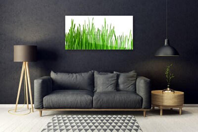 Quadro de vidro Natureza da planta grama
