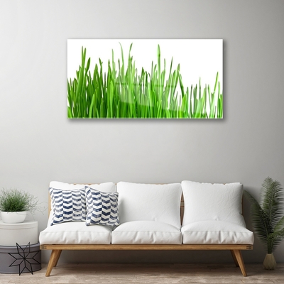 Quadro de vidro Natureza da planta grama