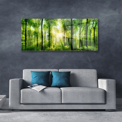 Pintura em vidro Floresta Natureza Árvores