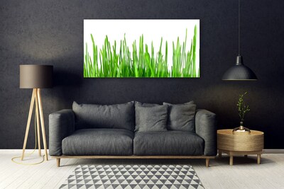 Quadro de vidro Natureza da planta grama