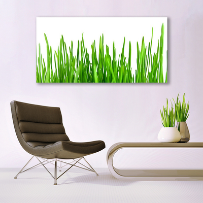 Quadro de vidro Natureza da planta grama