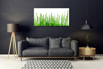 Quadro de vidro Natureza da planta grama