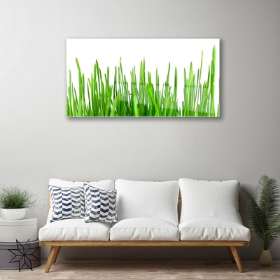 Quadro de vidro Natureza da planta grama