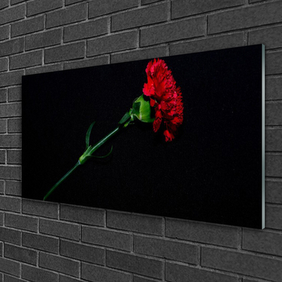 Pintura em vidro Flor Planta Natureza