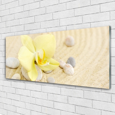 Pintura em vidro Flores Planta Natureza