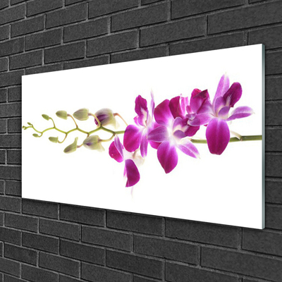 Quadro de vidro Flores Planta Natureza