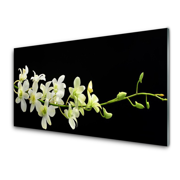 Quadro de vidro Flores Planta Natureza
