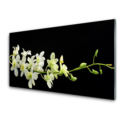 Quadro de vidro Flores Planta Natureza
