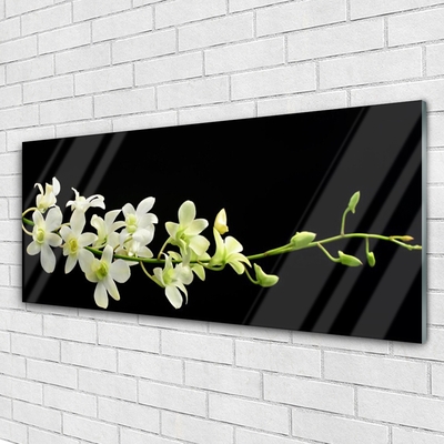 Quadro de vidro Flores Planta Natureza