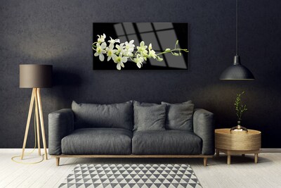 Quadro de vidro Flores Planta Natureza