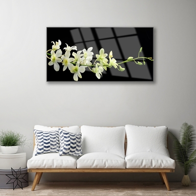Quadro de vidro Flores Planta Natureza