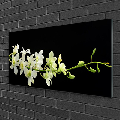 Quadro de vidro Flores Planta Natureza