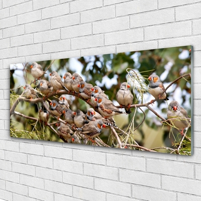 Pintura em vidro Pássaros Animais