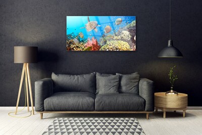 Quadro de vidro Paisagem de recifes de coral
