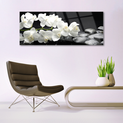 Quadro de vidro Planta de pedras de flores