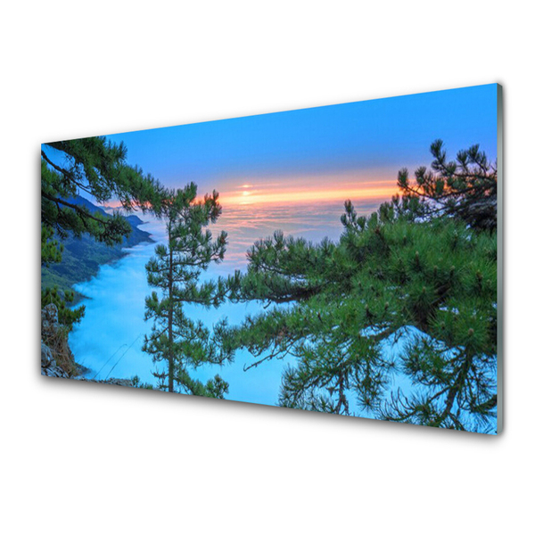 Quadro de vidro Árvores Natureza