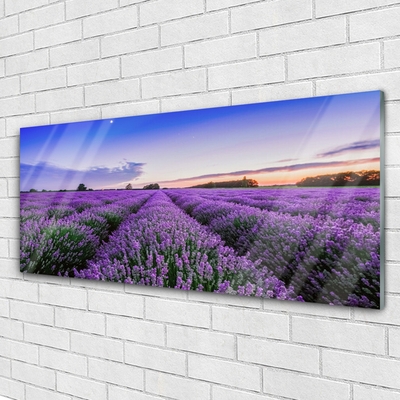 Pintura em vidro Flores do Prado Natureza Planta