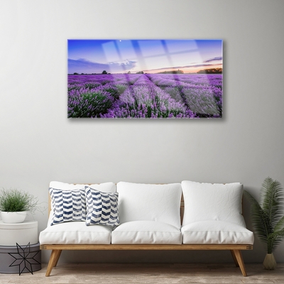 Pintura em vidro Flores do Prado Natureza Planta