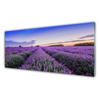 Pintura em vidro Flores do Prado Natureza Planta