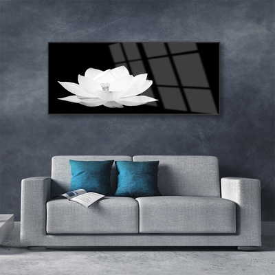 Quadro de vidro Flor Planta Natureza