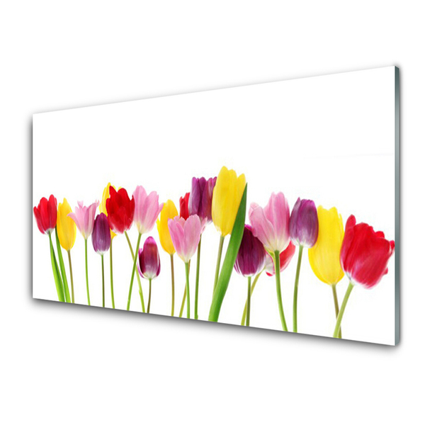 Pintura em vidro Tulipas Flores Planta