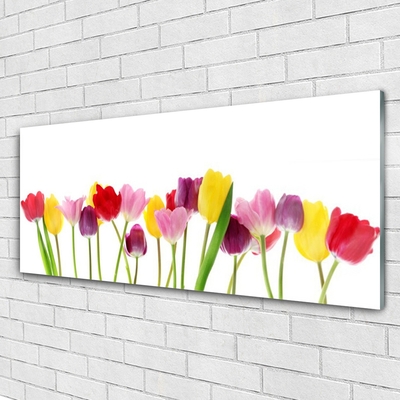 Pintura em vidro Tulipas Flores Planta