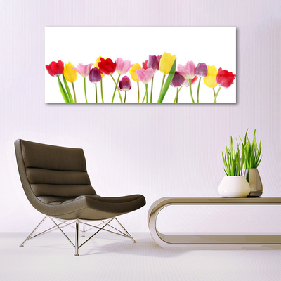 Pintura em vidro Tulipas Flores Planta