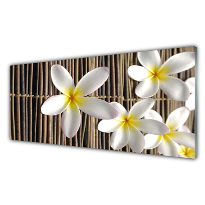 Quadro de vidro Flores Planta Natureza