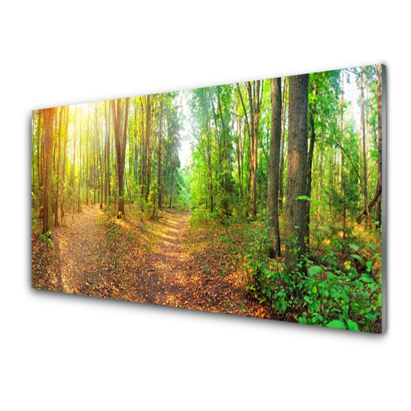 Quadro de vidro Floresta Natureza Árvores