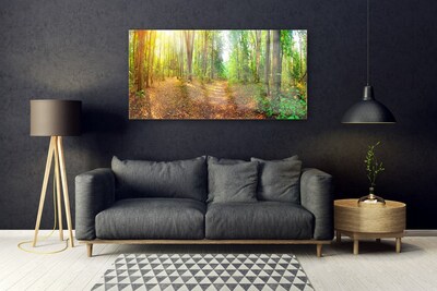 Quadro de vidro Floresta Natureza Árvores