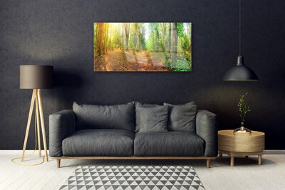 Quadro de vidro Floresta Natureza Árvores