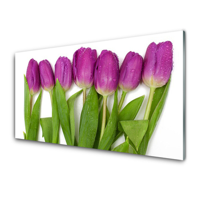 Quadro de vidro Tulipas Flores Planta