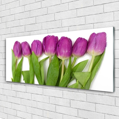 Quadro de vidro Tulipas Flores Planta