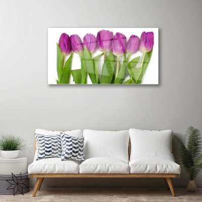 Quadro de vidro Tulipas Flores Planta