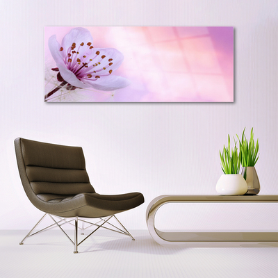 Quadro de vidro Flor Planta Natureza