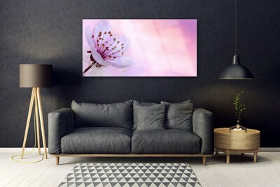Quadro de vidro Flor Planta Natureza
